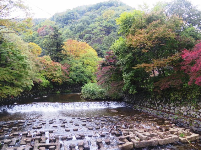 c0292342_21092293.jpg