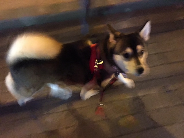 c0266644_0242879.jpg