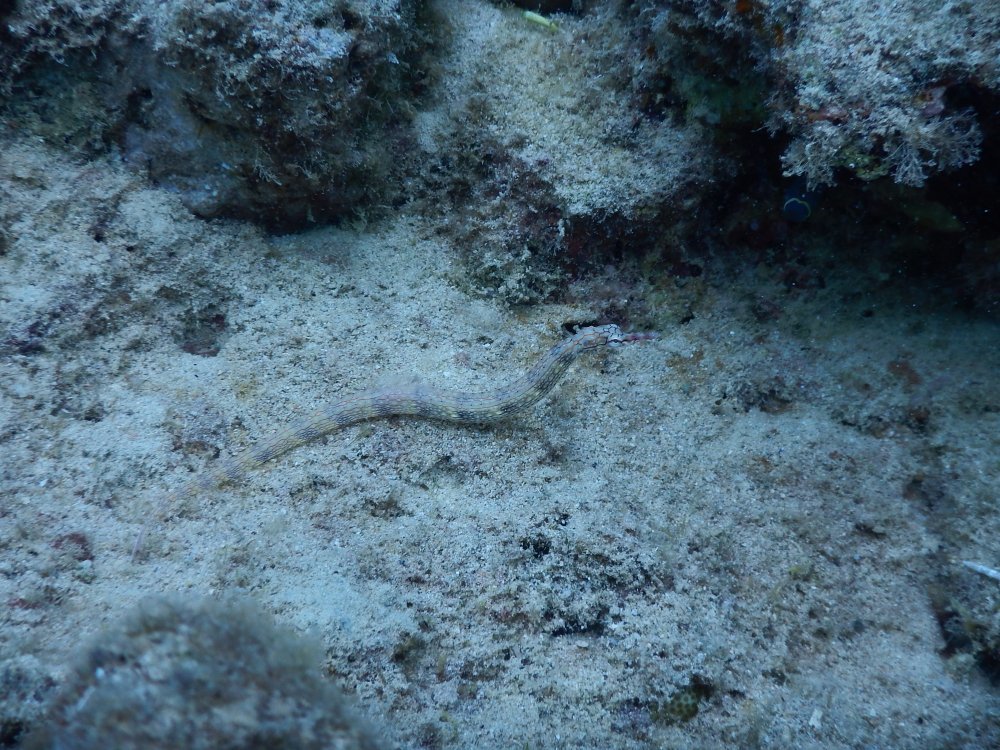 d0142944_14304225.jpg