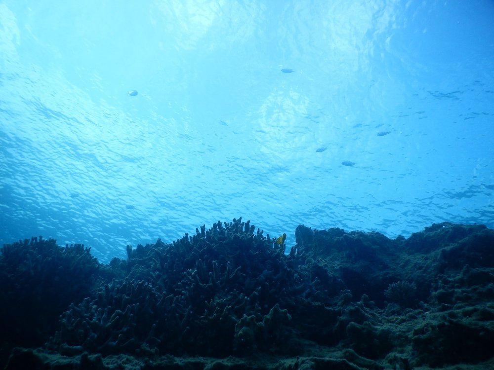 d0142944_14304370.jpg
