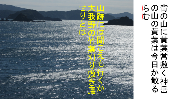 a0237545_11334443.png