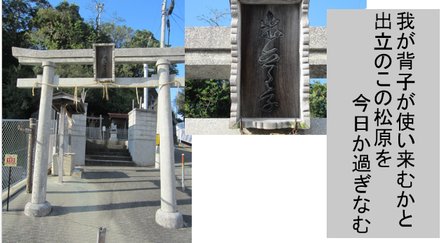 a0237545_11344215.png