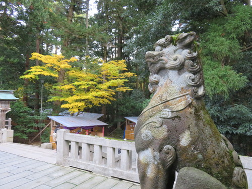 越後一宮　彌彦神社へお参りしてきました_b0238249_2231568.jpg