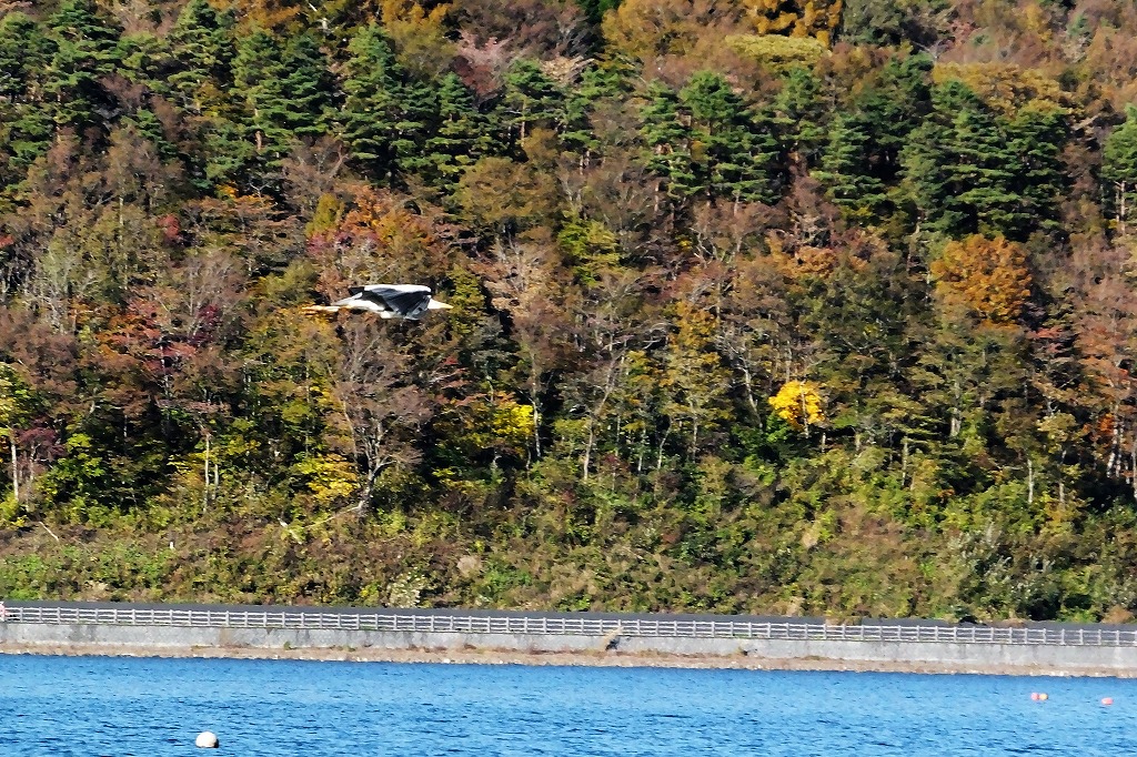 b0236251_10222526.jpg