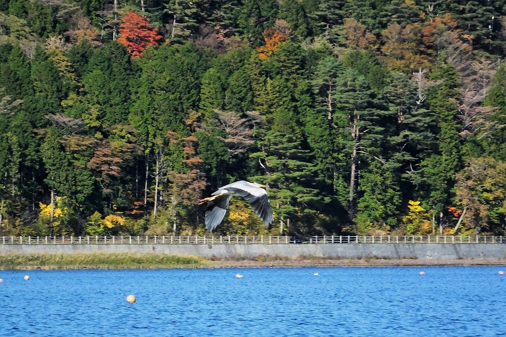 b0236251_10223331.jpg