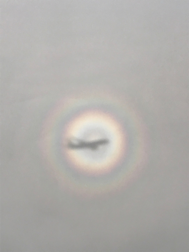 c0363753_07391058.jpg