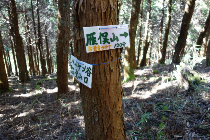 d0345153_11045600.jpg