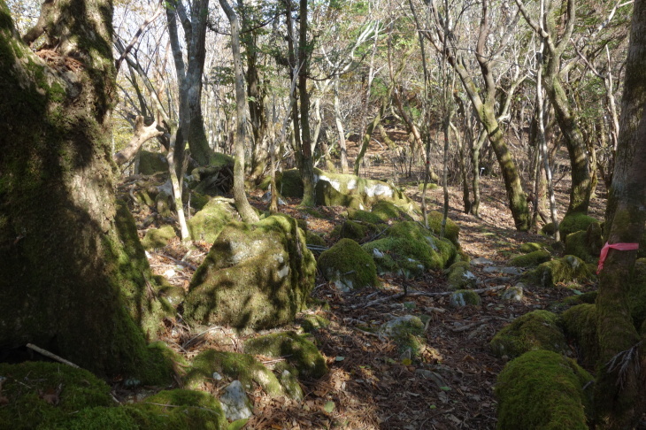 d0345153_11055511.jpg