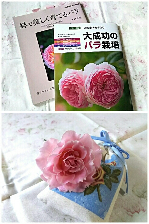 バラの家 木村卓巧さん ちくちく薔薇たいむ