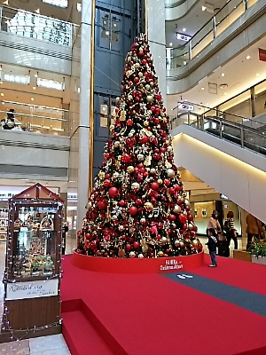 f0044557_2312753.jpg