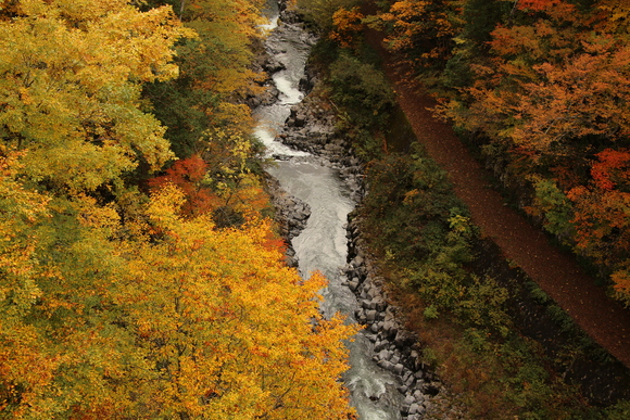 b0242358_10122791.jpg