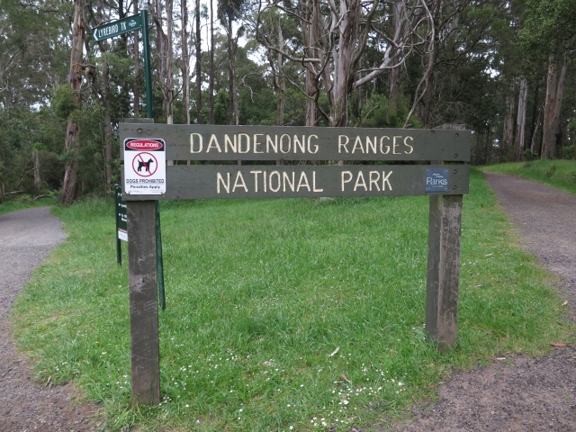a0004359_15413448.jpg