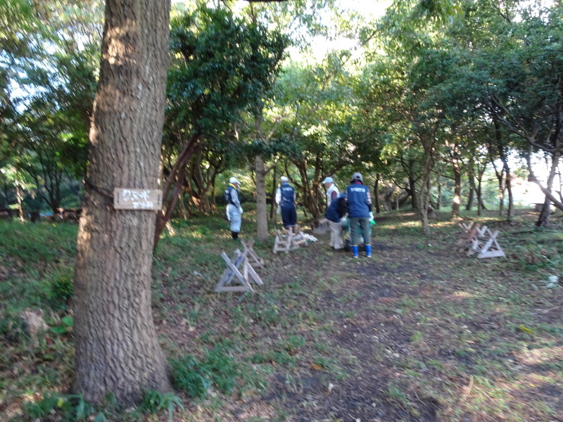 c0108460_01312367.jpg
