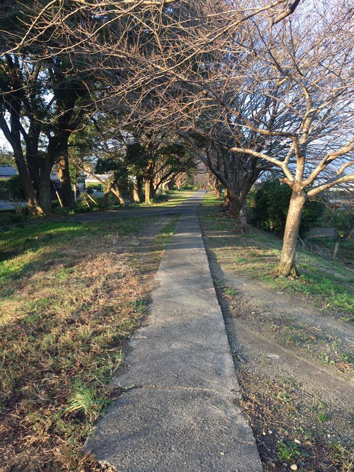 c0115560_15442913.jpg