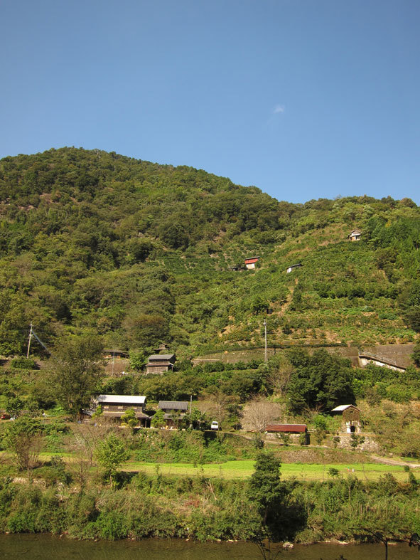 e0340660_18553540.jpg