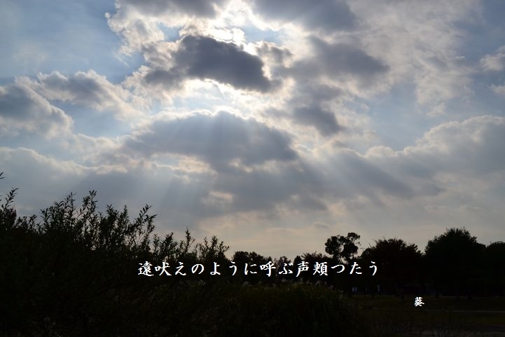 f0379160_18052603.jpg