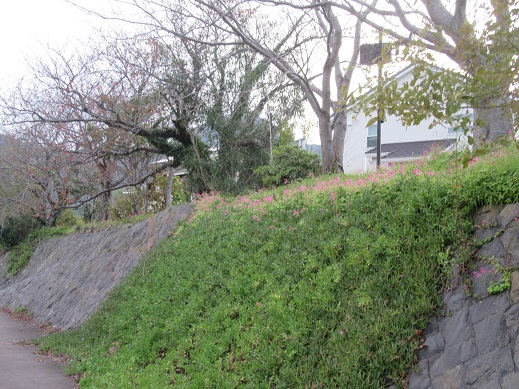 f0113862_18415839.jpg