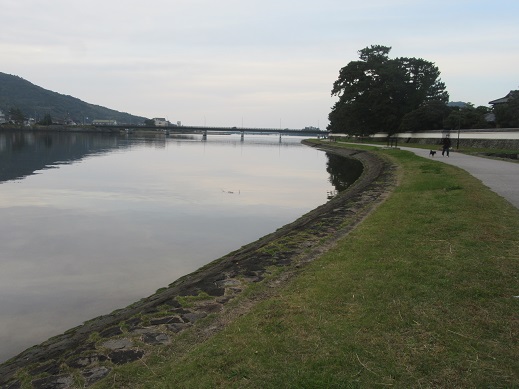 f0113862_18463859.jpg