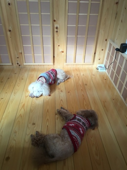 c0120363_13423846.jpeg