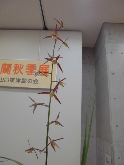 f0318967_14380596.jpg