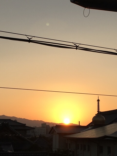 f0363168_06503142.jpeg