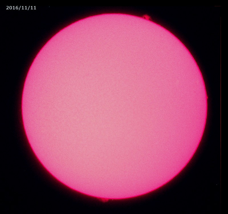 a0095470_026312.jpg