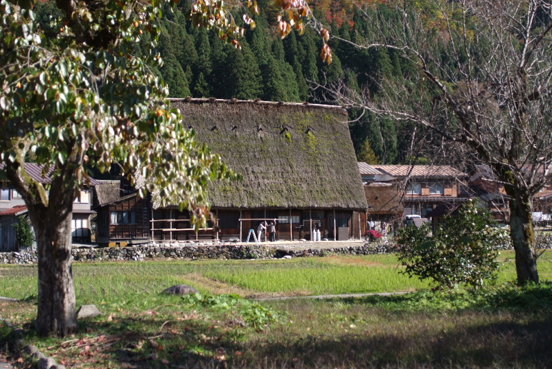 e0015174_2263394.jpg