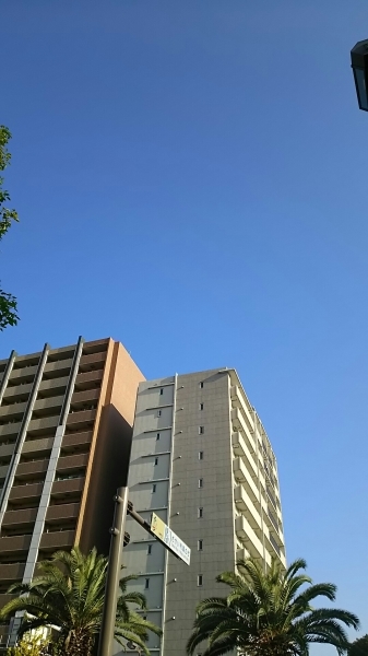 f0152875_08433711.jpg