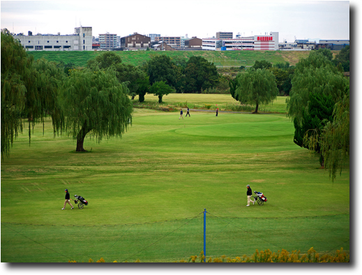 散歩道でのスナップ写真　　　_f0168676_17563488.jpg