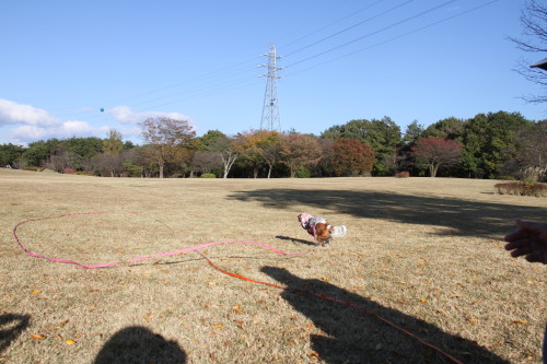 e0114977_737376.jpg