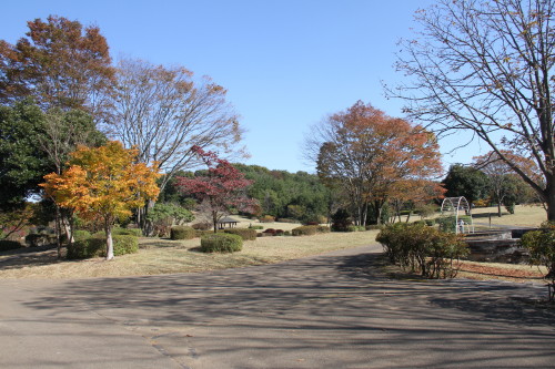 e0114977_7403956.jpg