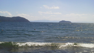 e0360778_16252007.jpg