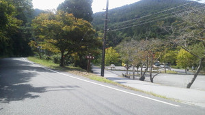e0360778_16252257.jpg