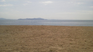 e0360778_16252461.jpg