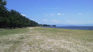 e0360778_16252481.jpg