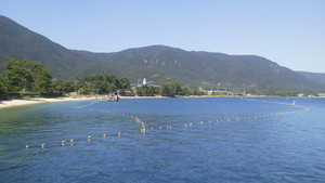 e0360778_16252507.jpg
