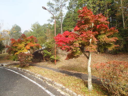 f0223480_22455480.jpg