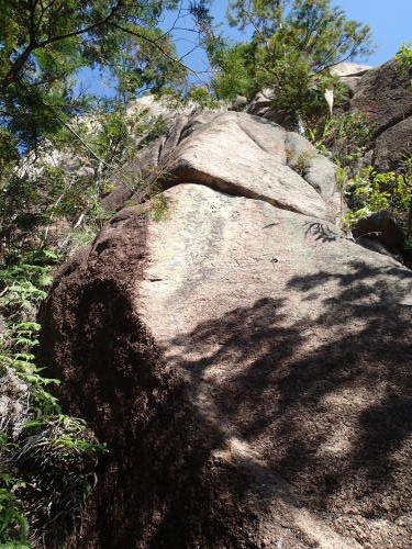 f0223480_22462303.jpg