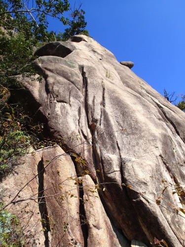 f0223480_22472131.jpg