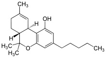マリファナは麻薬でも覚醒剤でもない_c0024385_13121430.jpg