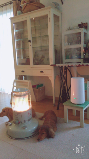c0198485_10244631.jpg