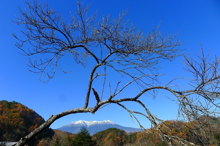 a0130586_10174946.jpg