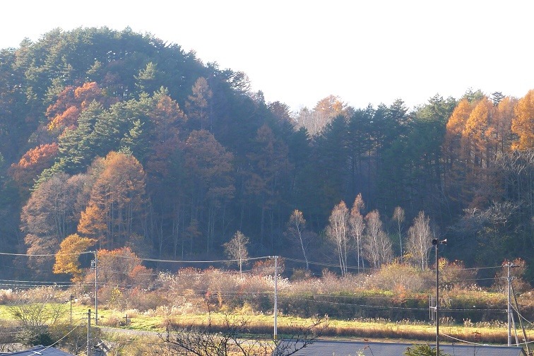 a0130586_17372759.jpg
