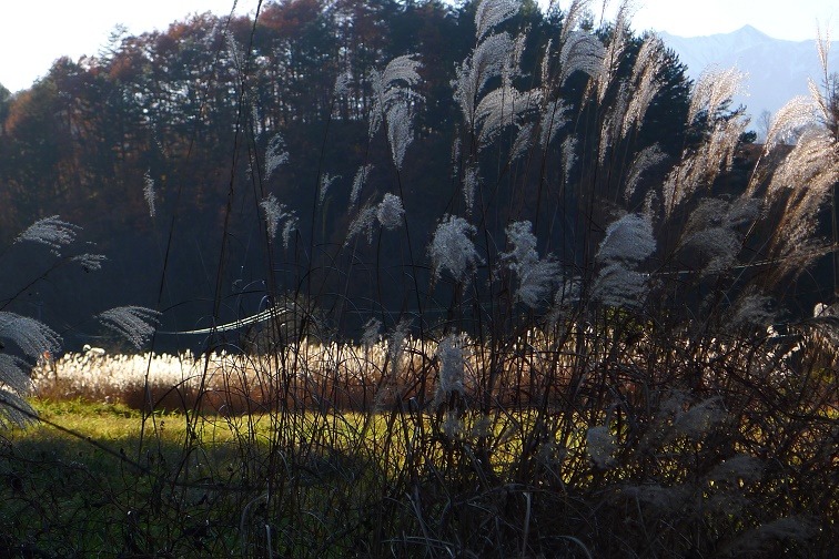 a0130586_17383731.jpg