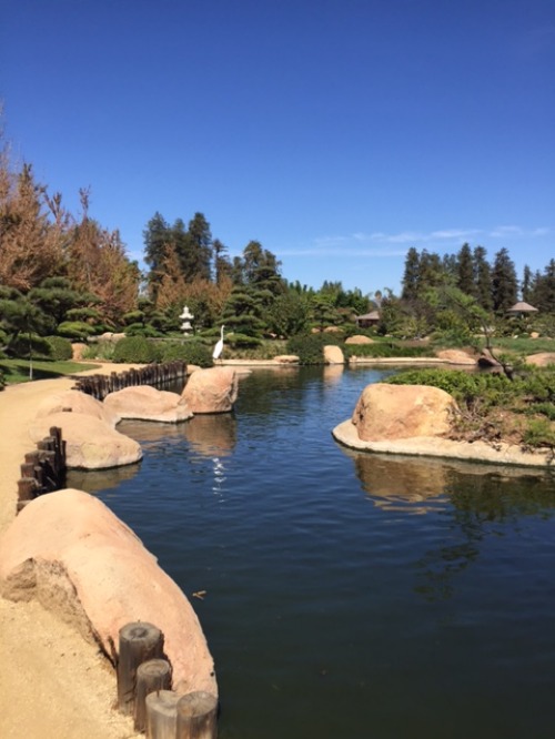 e0161692_8394793.jpg