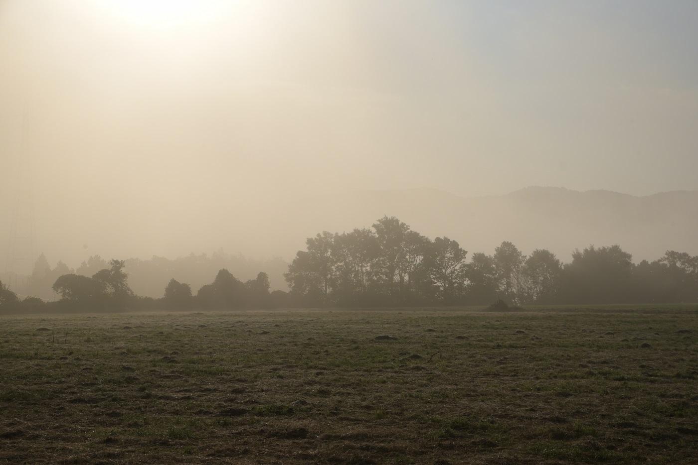 d0234293_18283130.jpg