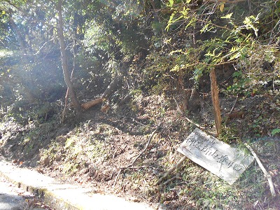f0308898_190171.jpg