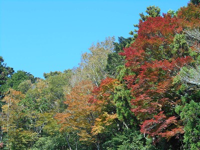 f0308898_1903251.jpg