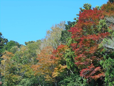 御在所山（旧香北町）_f0308898_1903251.jpg