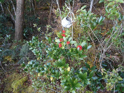 f0308898_1915383.jpg